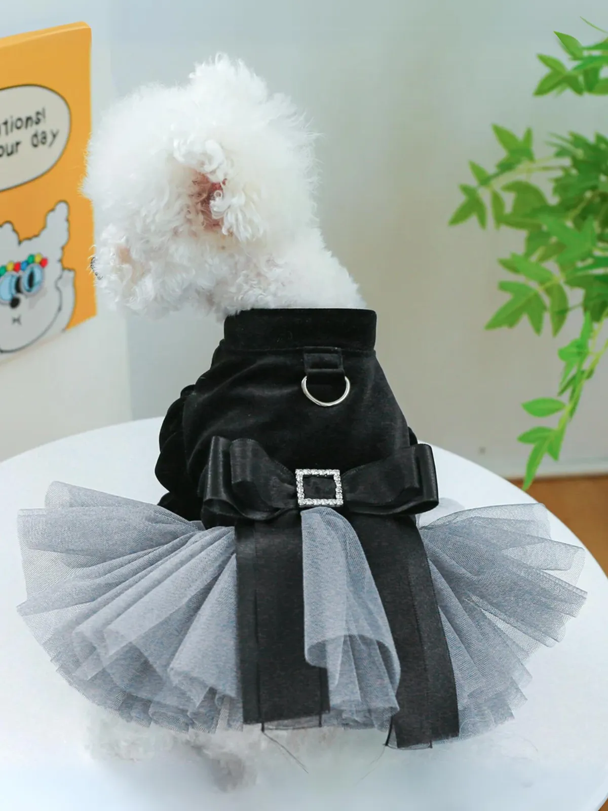 Elegant Black Velvet Bow Princess Mesh Dog Dress